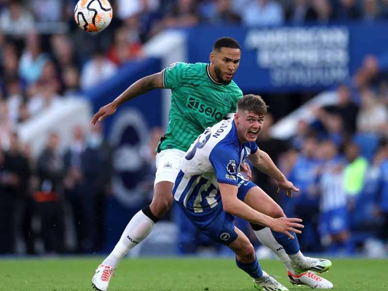 Nhận định soi kèo Newcastle vs Brighton lúc 21h00 ngày 11/5/2024